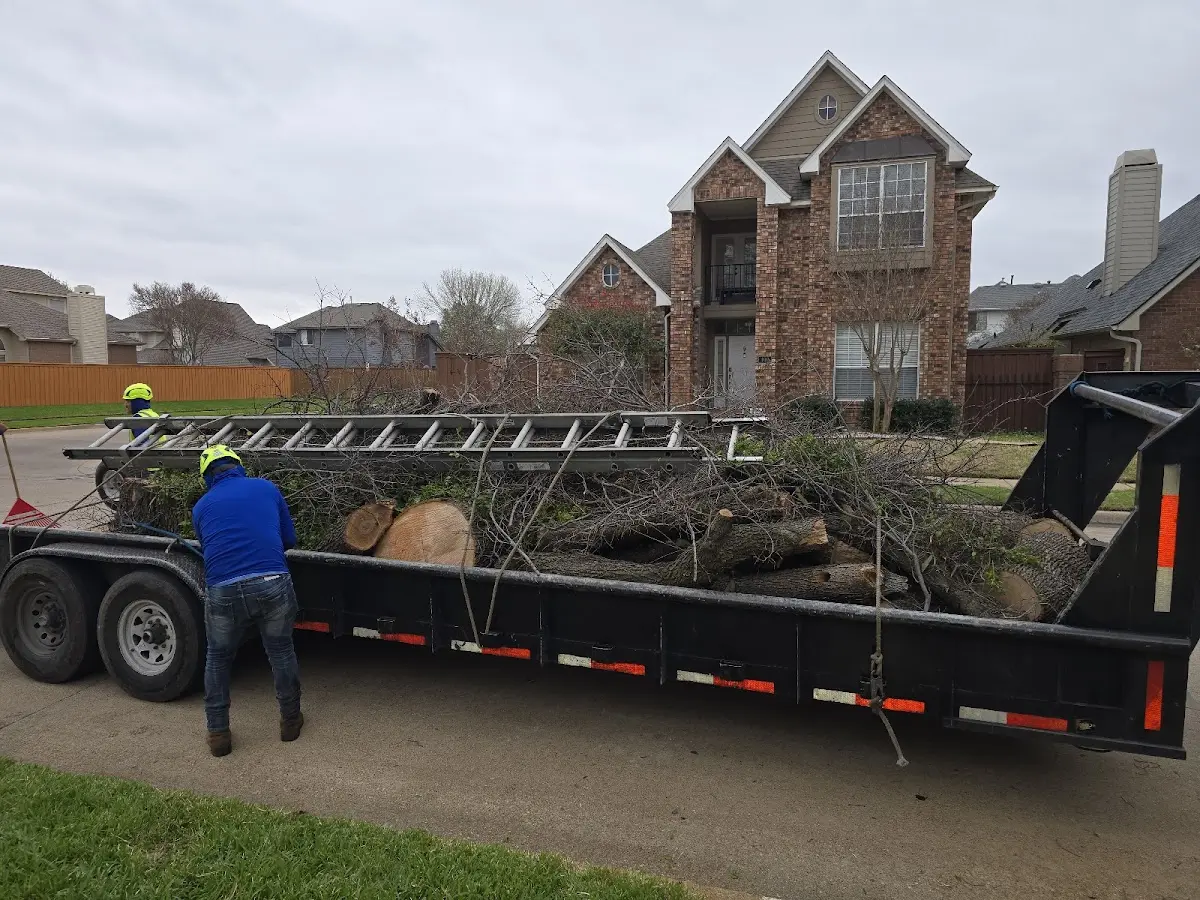 Expert Tree Fertilization with proper safety equipment in Kindred